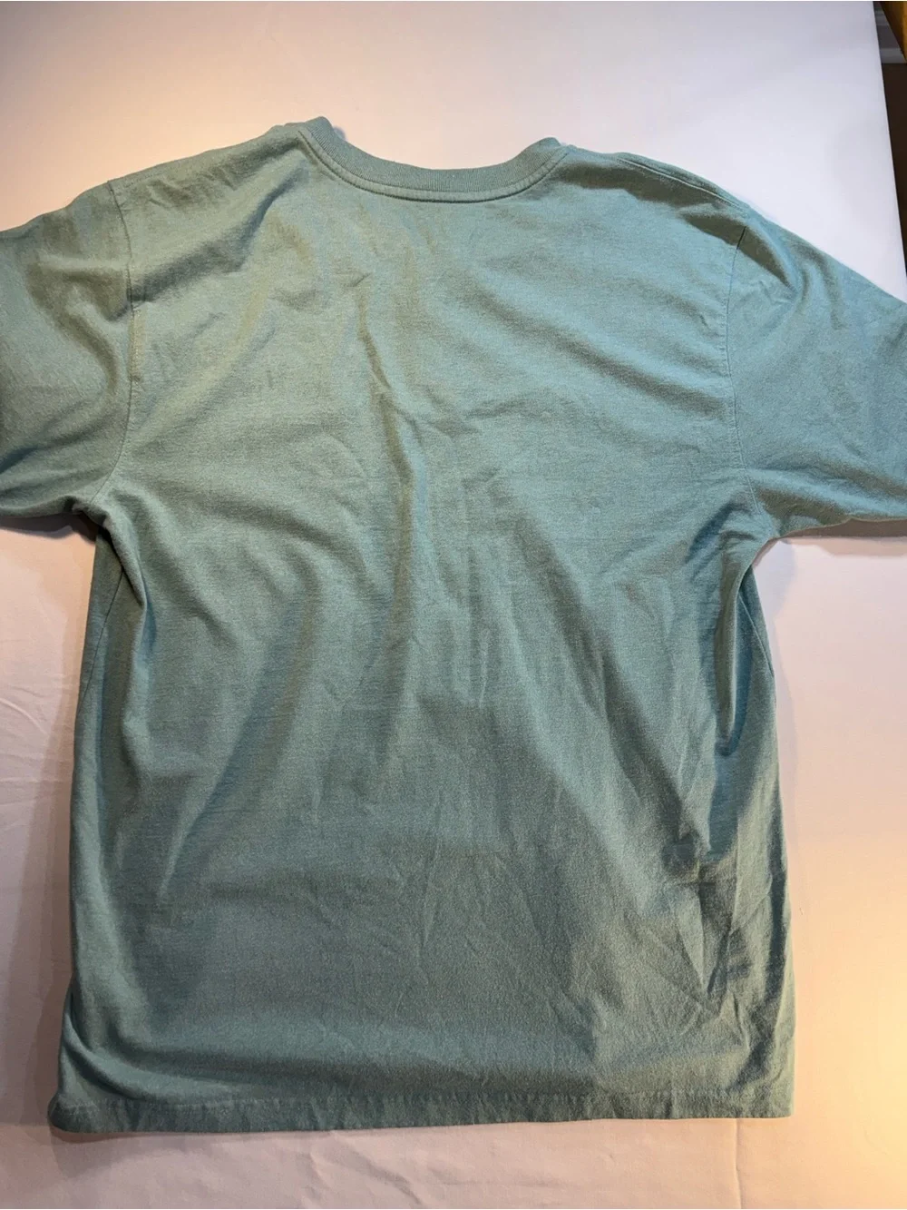 Carhartt Short-Sleeve Loose Fit Henley Pocket Tee in Seafoam Green